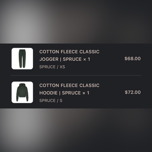 (NWOT) SKIMS COTTON FLEECE CLASSIC HOODIE & JOGGER SET | SPRUCE - Picture 6 of 6